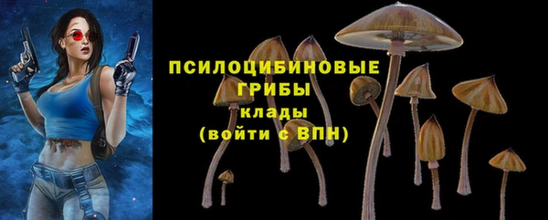 кристаллы Богданович